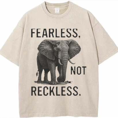 Urban Heavyweight Streetwear T-shirt – Boldstep Essentials Fearless Not Reckless Oversized  Tee