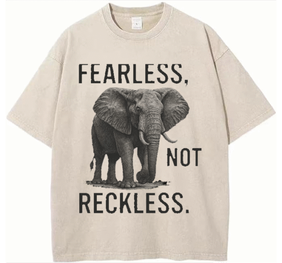 Urban Heavyweight Streetwear T-shirt – Boldstep Essentials Fearless Not Reckless Oversized  Tee